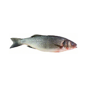 Whole Bronzini 25 lb