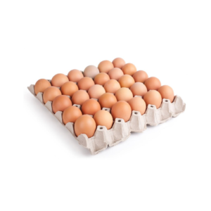 Large Egg Tray