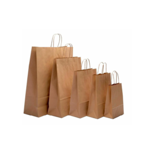 PAPER BAG WITH HANDLES